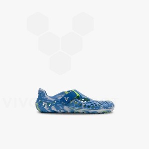 Blue Light Turquoise Vivobarefoot Ultra Bloom Preschool Kids' Shoes | AU050OB