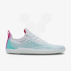 Blue Vivobarefoot Primus Lite Knit Men's Road Running Shoes | AU386QC