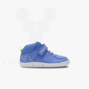 Blue Vivobarefoot Primus Ludo Hi Preschool Kids' Shoes | AU031HT