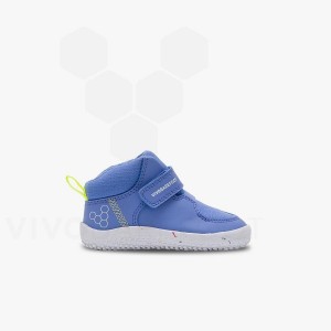 Blue Vivobarefoot Primus Ludo Hi Toddlers Kids' Shoes | AU033FU