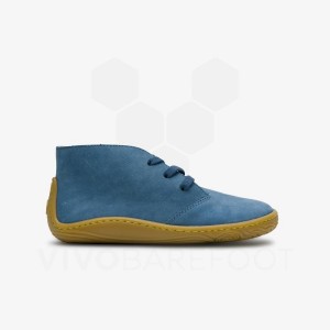 Indigo Vivobarefoot Gobi Addis Juniors Kids' Shoes | AU009DO