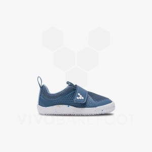 Indigo Vivobarefoot Primus Sport III Toddlers Kids' Shoes | AU071TL