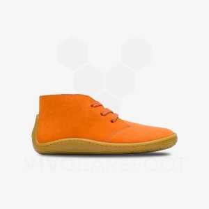 Orange Vivobarefoot Gobi Addis Juniors Kids' Shoes | AU008EI