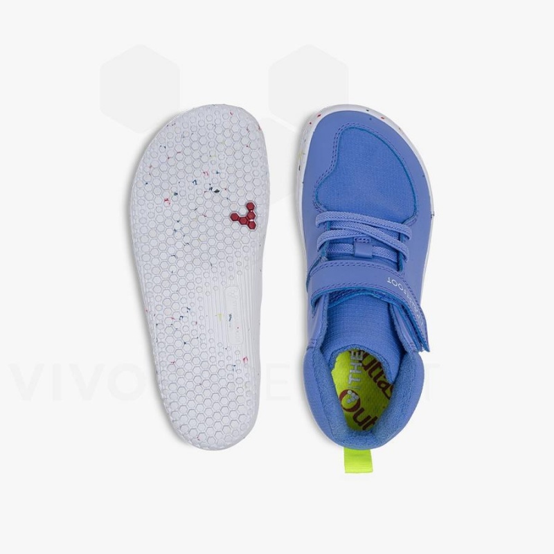 Blue Vivobarefoot Primus Ludo Hi Kids' Shoes | AU029JE