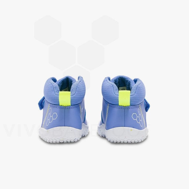 Blue Vivobarefoot Primus Ludo Hi Kids' Shoes | AU029JE