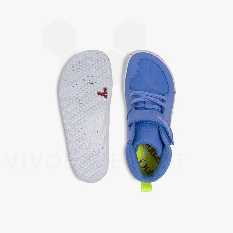 Blue Vivobarefoot Primus Ludo Hi Preschool Kids' Shoes | AU031HT