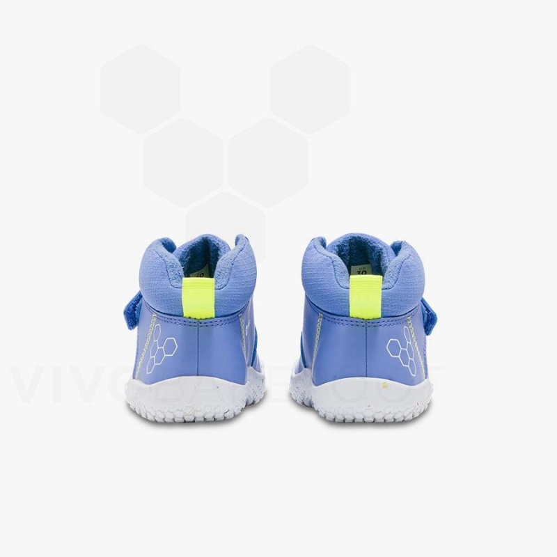 Blue Vivobarefoot Primus Ludo Hi Preschool Kids' Shoes | AU031HT