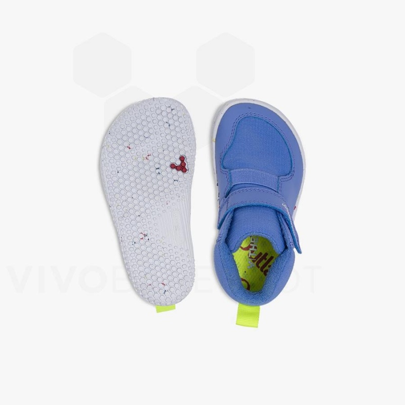 Blue Vivobarefoot Primus Ludo Hi Toddlers Kids' Shoes | AU033FU