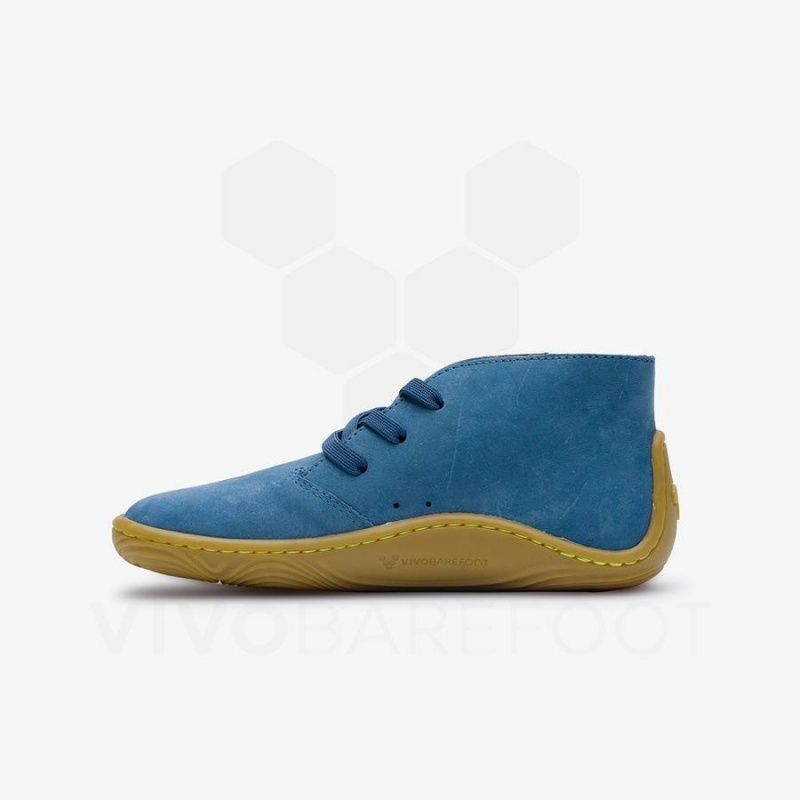 Indigo Vivobarefoot Gobi Addis Juniors Kids' Shoes | AU009DO