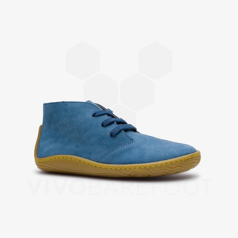 Indigo Vivobarefoot Gobi Addis Juniors Kids' Shoes | AU009DO