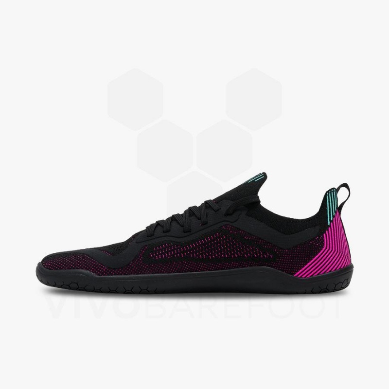 Obsidian / Pink Vivobarefoot Primus Lite Knit Men's Road Running Shoes | AU382UK