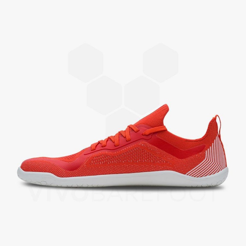 Red Vivobarefoot Primus Lite Knit Men's Road Running Shoes | AU384SZ