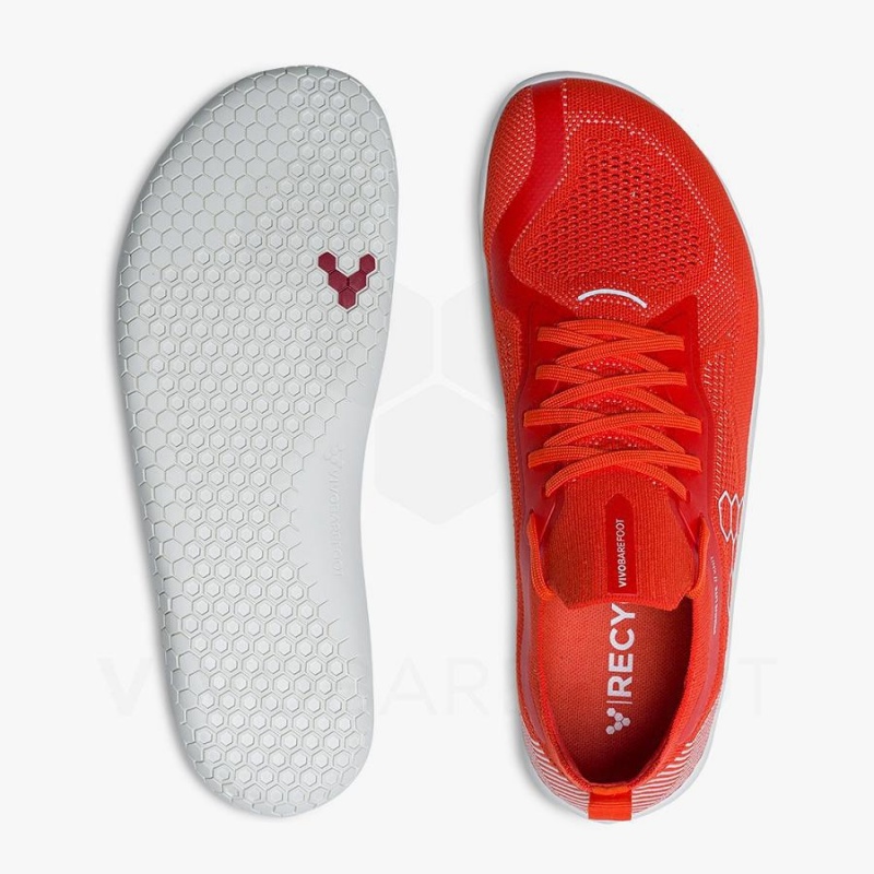 Red Vivobarefoot Primus Lite Knit Men's Training Shoes | AU340KW