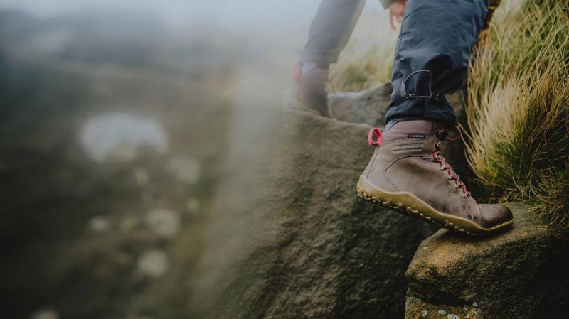 Taupe Vivobarefoot Tracker II FG Men's Hiking Shoes | AU413PV