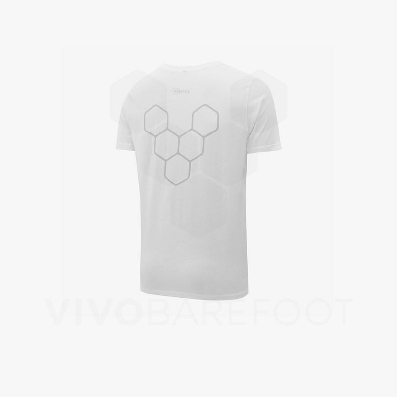 White Vivobarefoot Rapanui Men's T Shirts | AU276WH